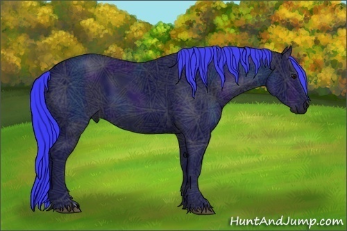 Horse Color:Watercolor Midnight Black Ice 