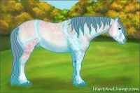 Horse Color:Thunderstruck Watercolor Bay Ice Onyx 