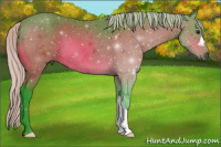 Horse Color:Gray Watercolor Silver Brown 