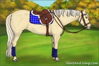 Horse Color:Palomino Dun 