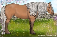 Horse Color:Silver Bay 