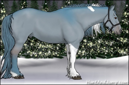 Horse Color:Watercolor Liver Red Dun Tobiano 