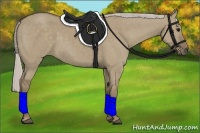 Horse Color:Silver Grullo