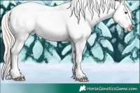 Horse Color:Liver Chestnut Mushroom Sabino Appaloosa 