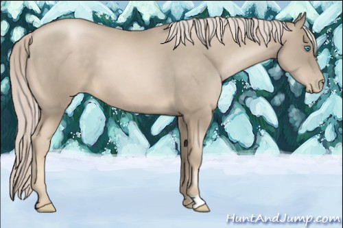 Horse Color:Chocolate Palomino Pearl 
