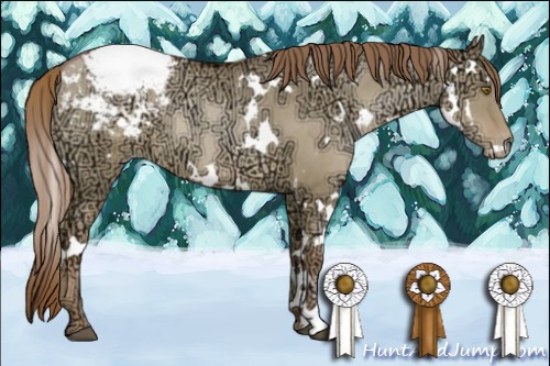 Horse Color:White Spotted Liver Red Dun Ice Pearl Appaloosa 