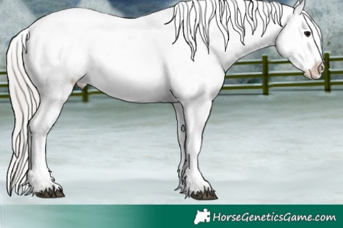 Horse Color:White Spotted Silver Black Blanket