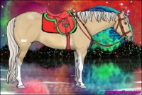 Horse Color:Silver Buckskin Dun Tobiano