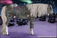 Horse Color:Midnight Silver Black Ice