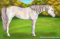 Horse Color:Nacre Silver Sable Champagne Onyx 