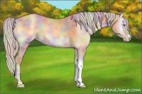 Horse Color:Nacre Silver Sable Champagne Onyx 