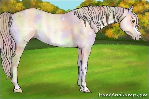 Horse Color:Nacre Silver Sable Champagne Onyx 