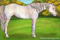 Horse Color:Nacre Silver Sable Champagne Onyx