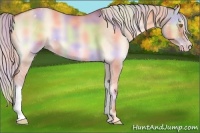 Horse Color:Nacre Silver Sable Champagne Onyx