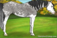 Horse Color:Grullo Ice Splash
