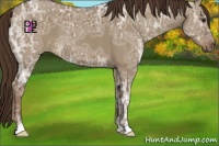 Horse Color:Liver Red Dun Ice 
