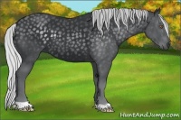 Horse Color:Silver Black Chinchilla