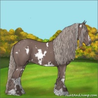Horse Color:White Spotted Chocolate Silver Black Sabino 