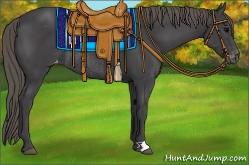 Horse Color:Smoky Black Appaloosa Rabicano 