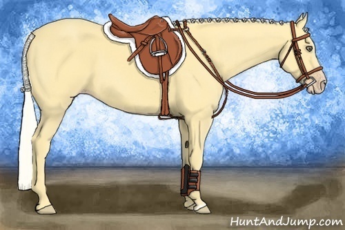 Horse Color:Silver Amber Cream Champagne Dun 