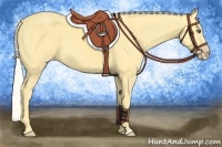 Horse Color:Silver Amber Cream Champagne Dun 