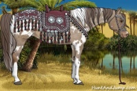 Horse Color:White Spotted Liver Red Dun Appaloosa 