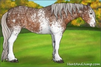 Horse Color:White Spotted Silver Brown Ice Sabino 