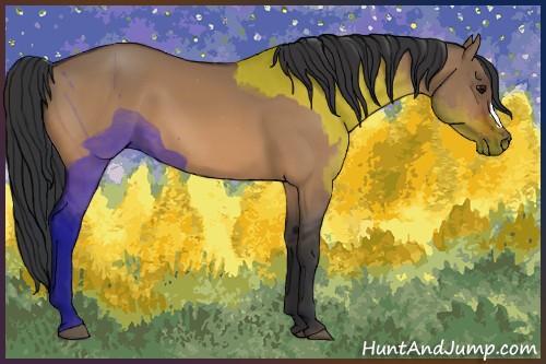 Horse Color:Bay Dun 
