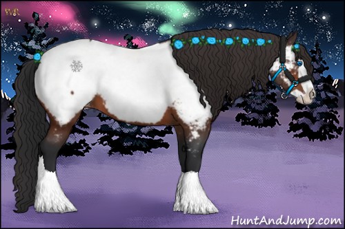 Horse Color:Brown Splash Appaloosa