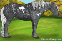 Horse Color:White Spotted Silver Black Chinchilla 