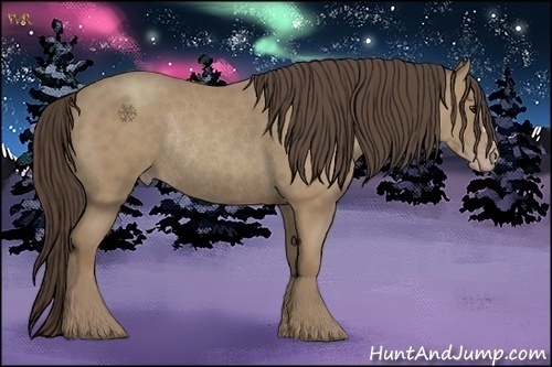 Horse Color:Classic Champagne Rabicano 