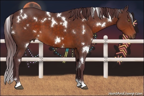Horse Color:White Spotted Chocolate Brown 