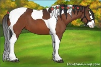 Horse Color:Brown Splash Tobiano