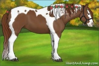 Horse Color:Chestnut Sabino Splash Tobiano