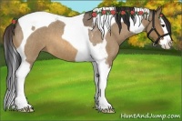 Horse Color:Bay Roan Dun Splash Tobiano