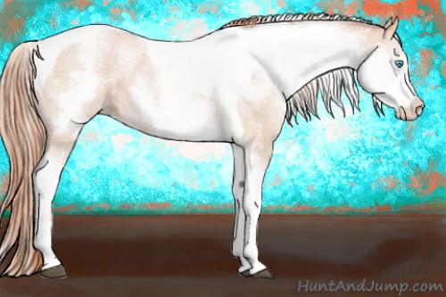 Horse Color:White Spotted Buckskin Pearl Tobiano 
