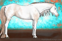 Horse Color:White Spotted Buckskin Pearl Tobiano 