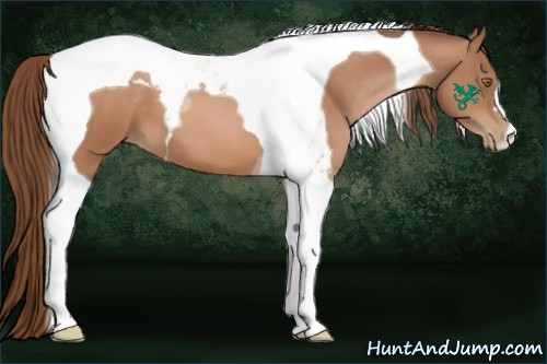 Horse Color:Bay Pearl Tobiano