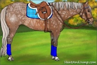 Horse Color:Silver Bay Ice 