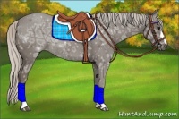 Horse Color:Silver Smoky Black Ice Rabicano