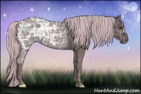 Horse Color:Painted Silver Black Ice 