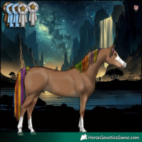 Horse Color:Gray Painted Red Dun