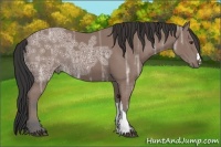 Horse Color:Bay Ice 