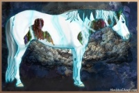 Horse Color:Thunderstruck Brown Ice Splash Tobiano 