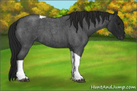 Horse Color:Gray Blue Roan Tobiano 