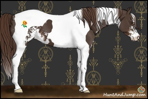 Horse Color:Liver Chestnut Sabino Tobiano Blanket