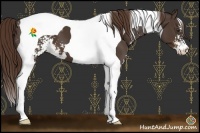 Horse Color:Liver Chestnut Sabino Tobiano Blanket 