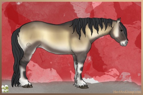 Horse Color:Brown Onyx