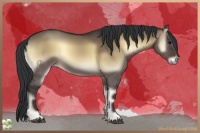 Horse Color:Brown Onyx