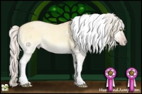 Horse Color:Silver Sable Cream Champagne Roan Onyx Tobiano Rabicano